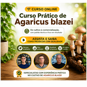 Curso - Da Vivência no Campo ao Resultado