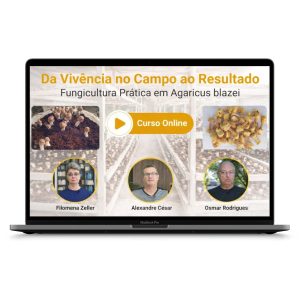 Curso - Da Vivência no Campo ao Resultado