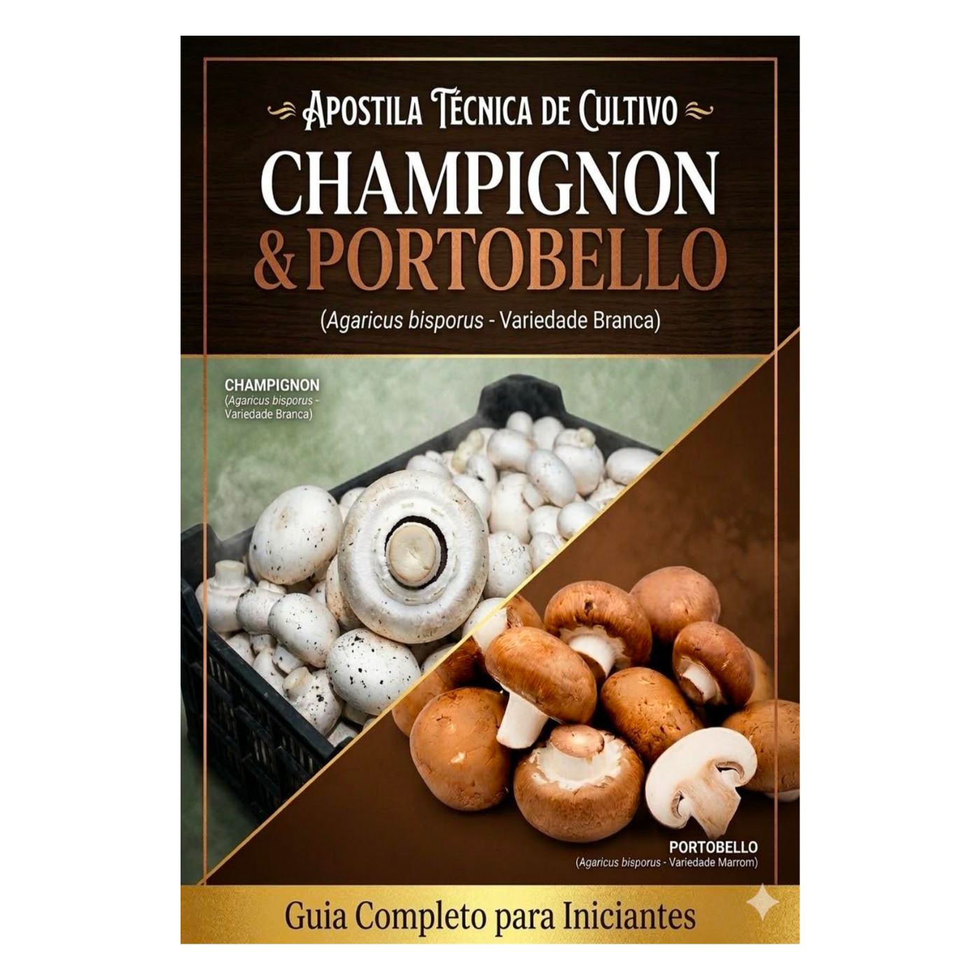 Apostila de champignom e portobello